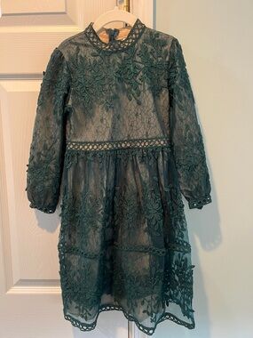 Ivy City Co Teal Lace Floral Long-Sleeve Dress